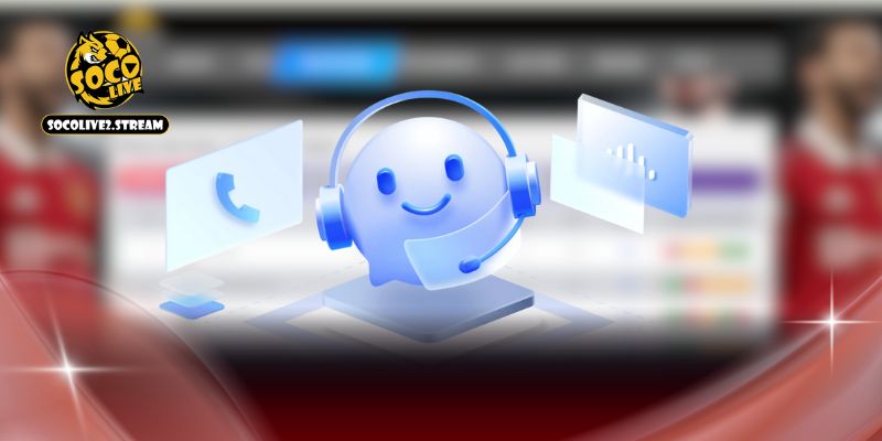 Nội dung quan trọng thể hiện tại điều khoản của web
